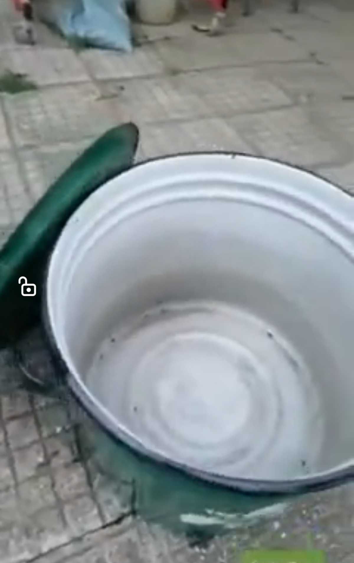 Голяма тенджера за буркани