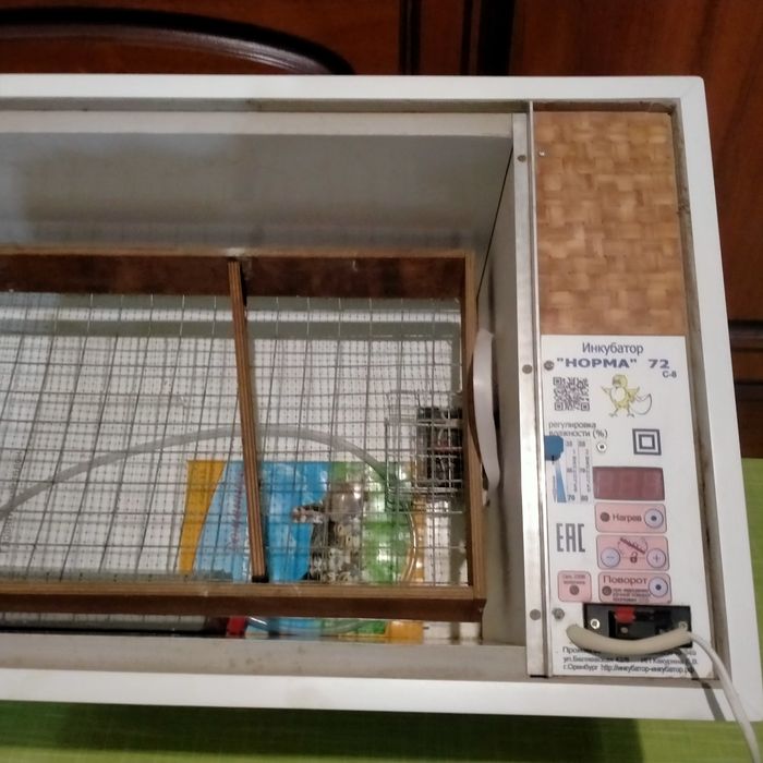 Инкубатор сатылады 72 жумыртка