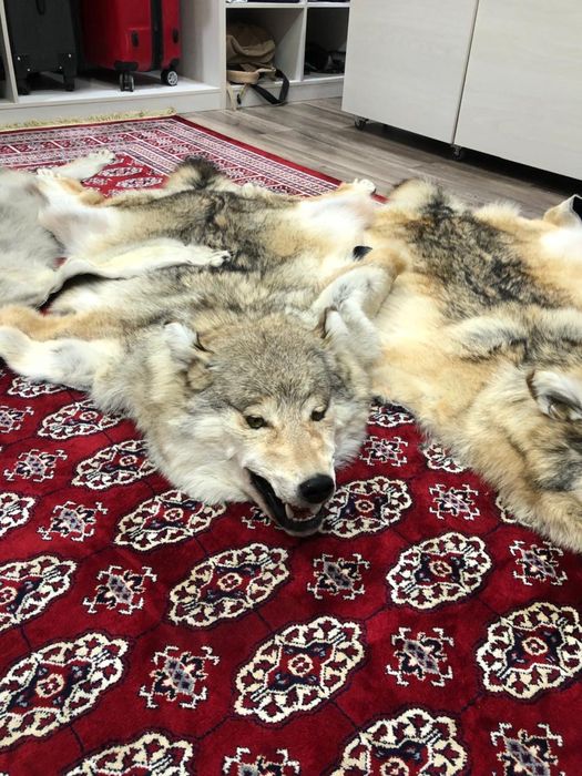 Продам Арлан новые в.о.лк