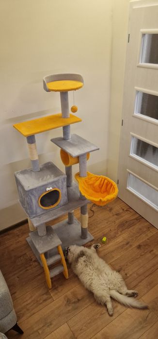 Катерушка за котки