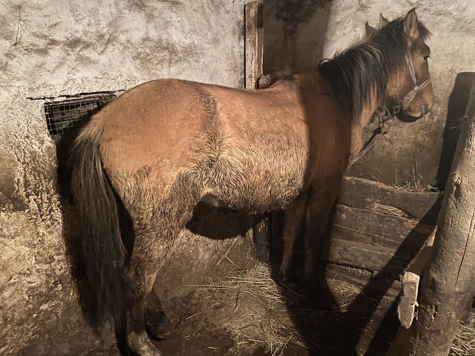 Продаю Тай село Доскей