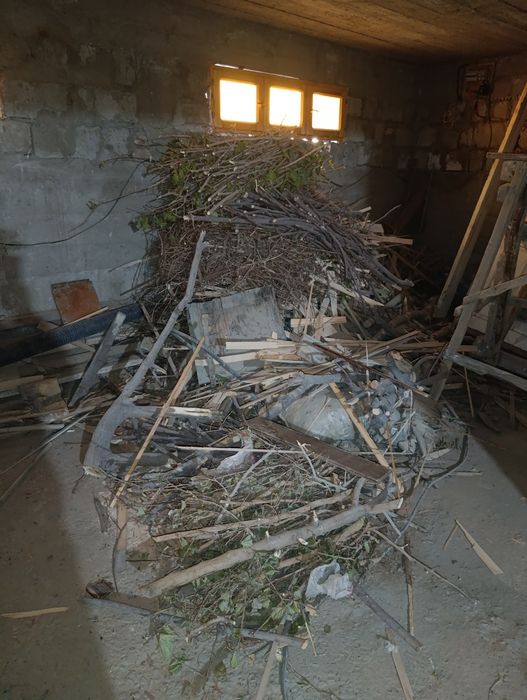 Oʻtin sotiladi narxi 600.000 soʻm kami bor