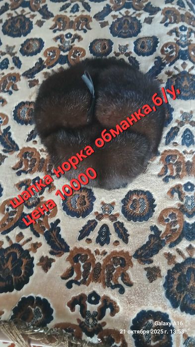 Одежда куртка обувь