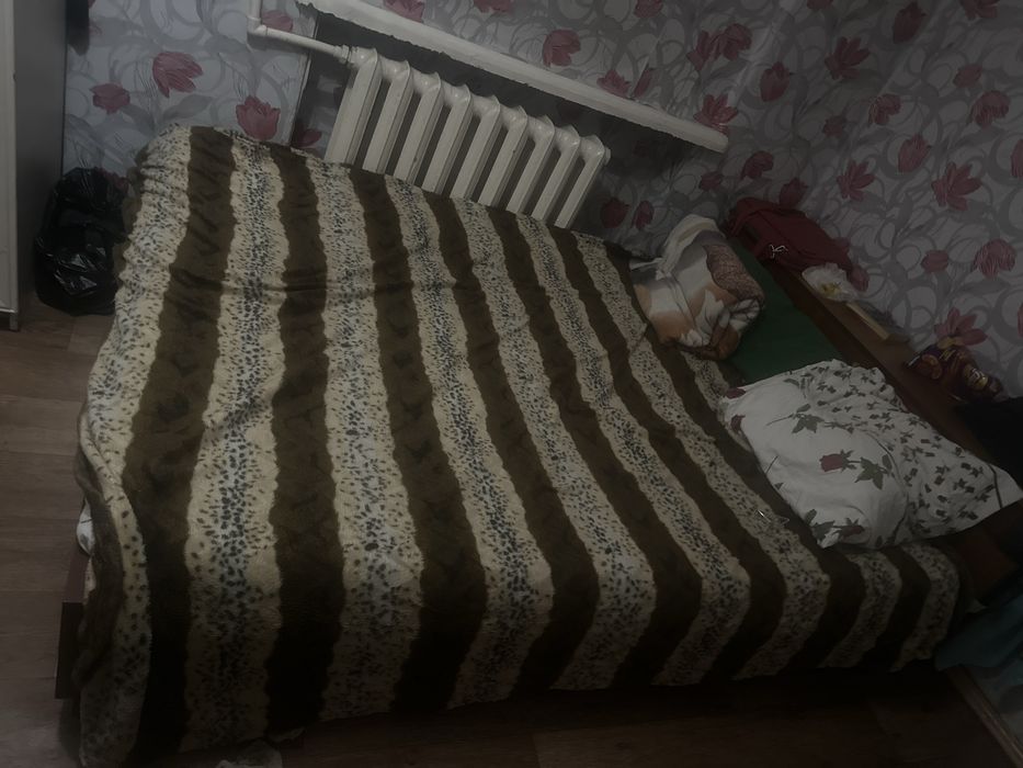 Отдам даром       ‼️‼️‼️‼️