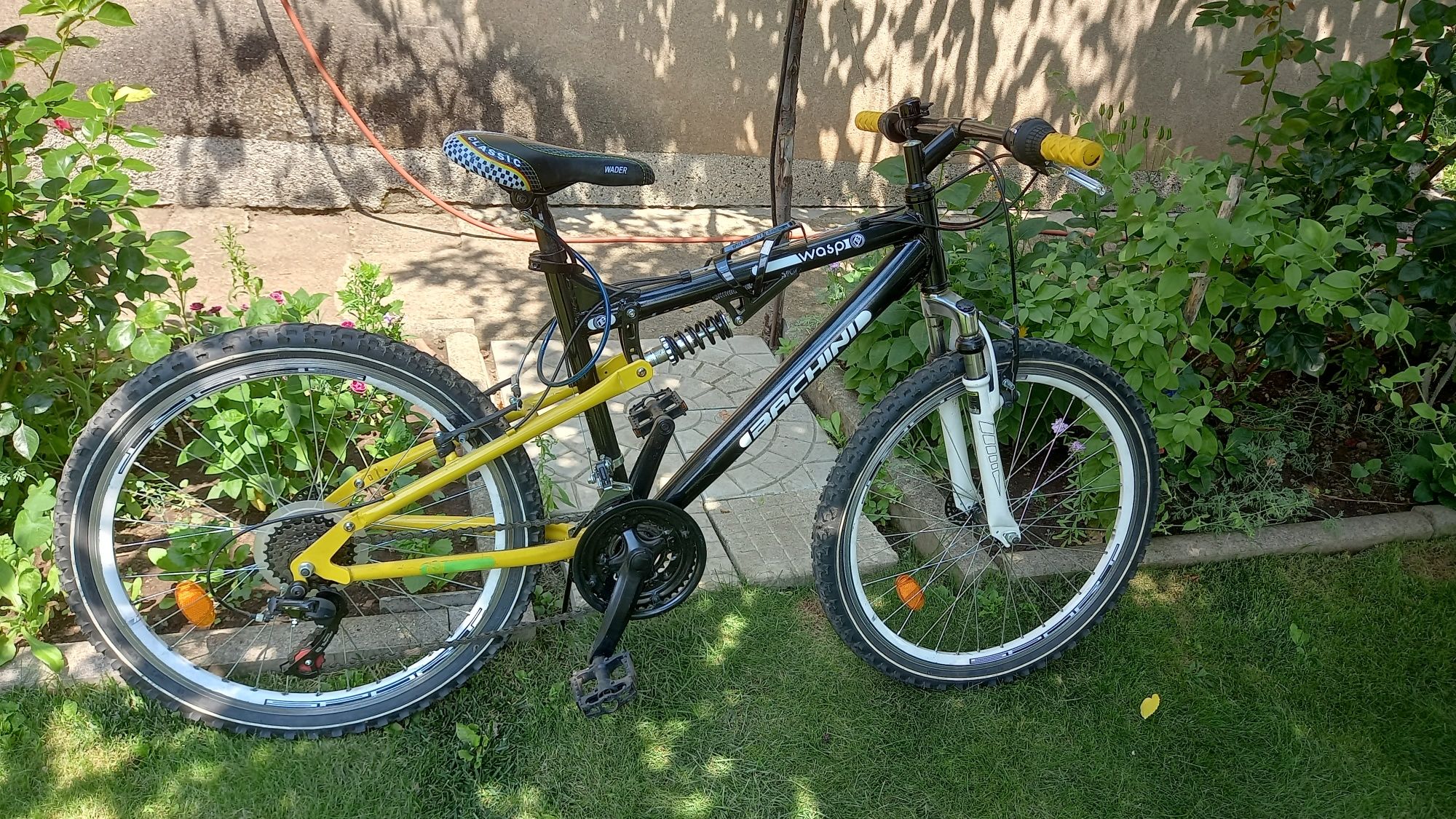 SPRINT Bachini Wasp 24