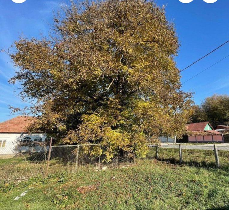 teren-casa Bunești la strada principală DN 67jud. Vâlcea