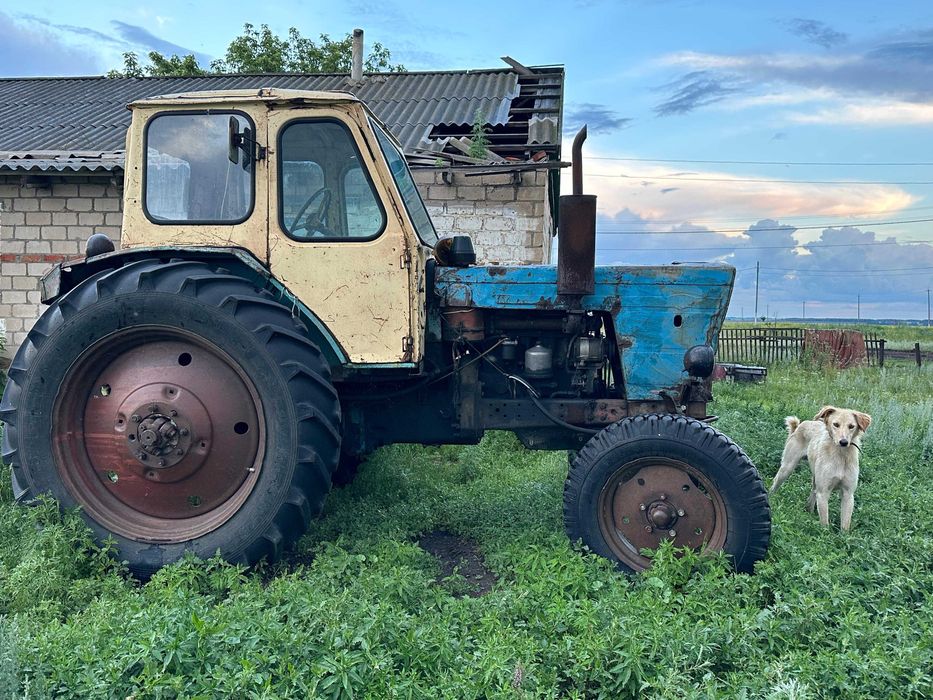 Продам Трактор МТЗ-80