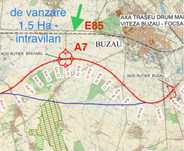 Teren intravilan în Buzău lângă autostradă A7/ E85- 1,5(4,6) Ha -