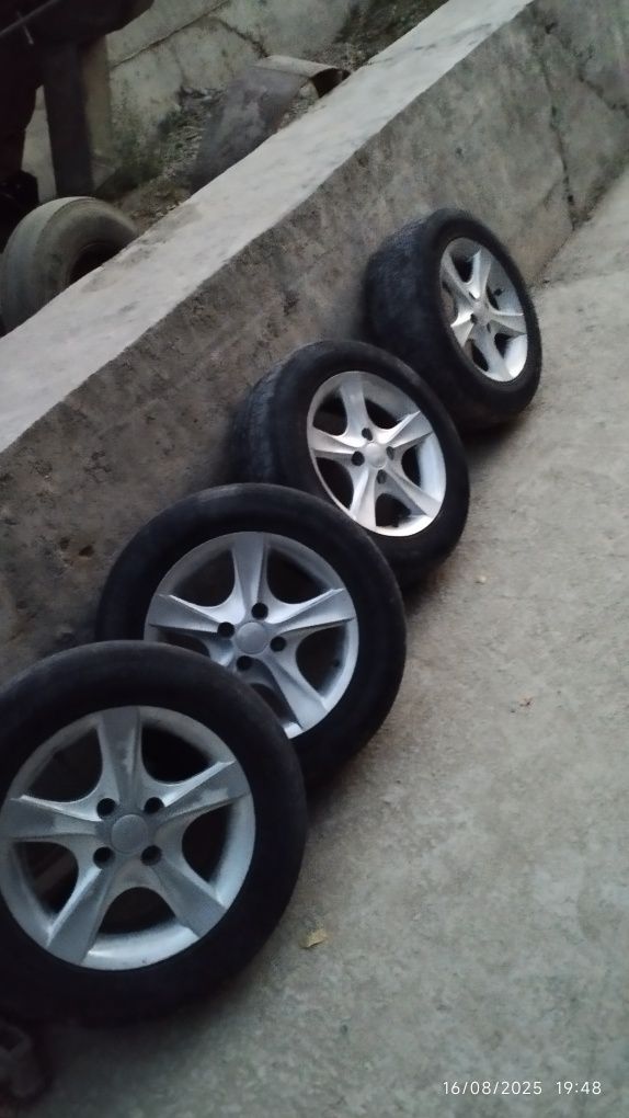 Shapaloq 14 saka disk balon sotiladi