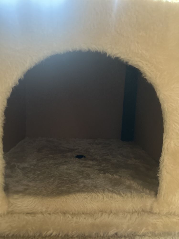 Casa pentru pisici