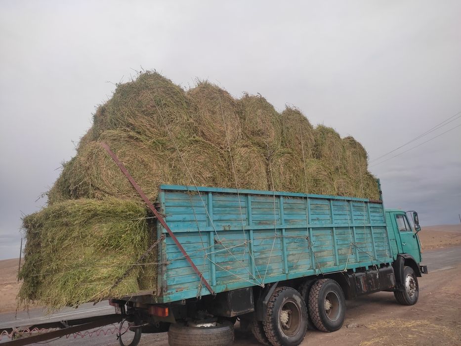 Сено  рулонах. / Жоңышқа /