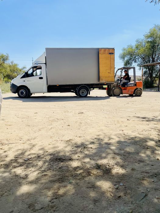 Газель жалданады