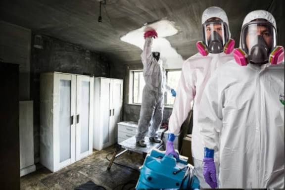 Дезинфекция Дезинсекция Дератизация Dezinfeksiya