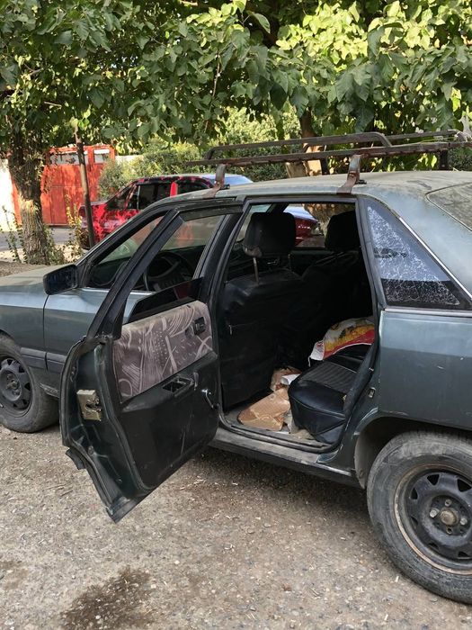 Audi 100 na xadu