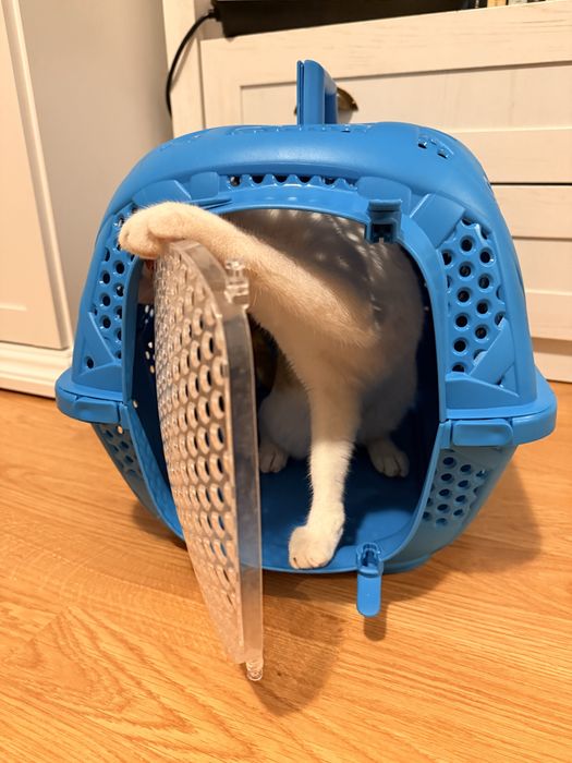 Cutie transport/ transportor animale marimea S