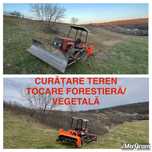 Curatare, întretinere teren, Tocare forestiera, vegetala