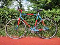 Cursiera bicicleta