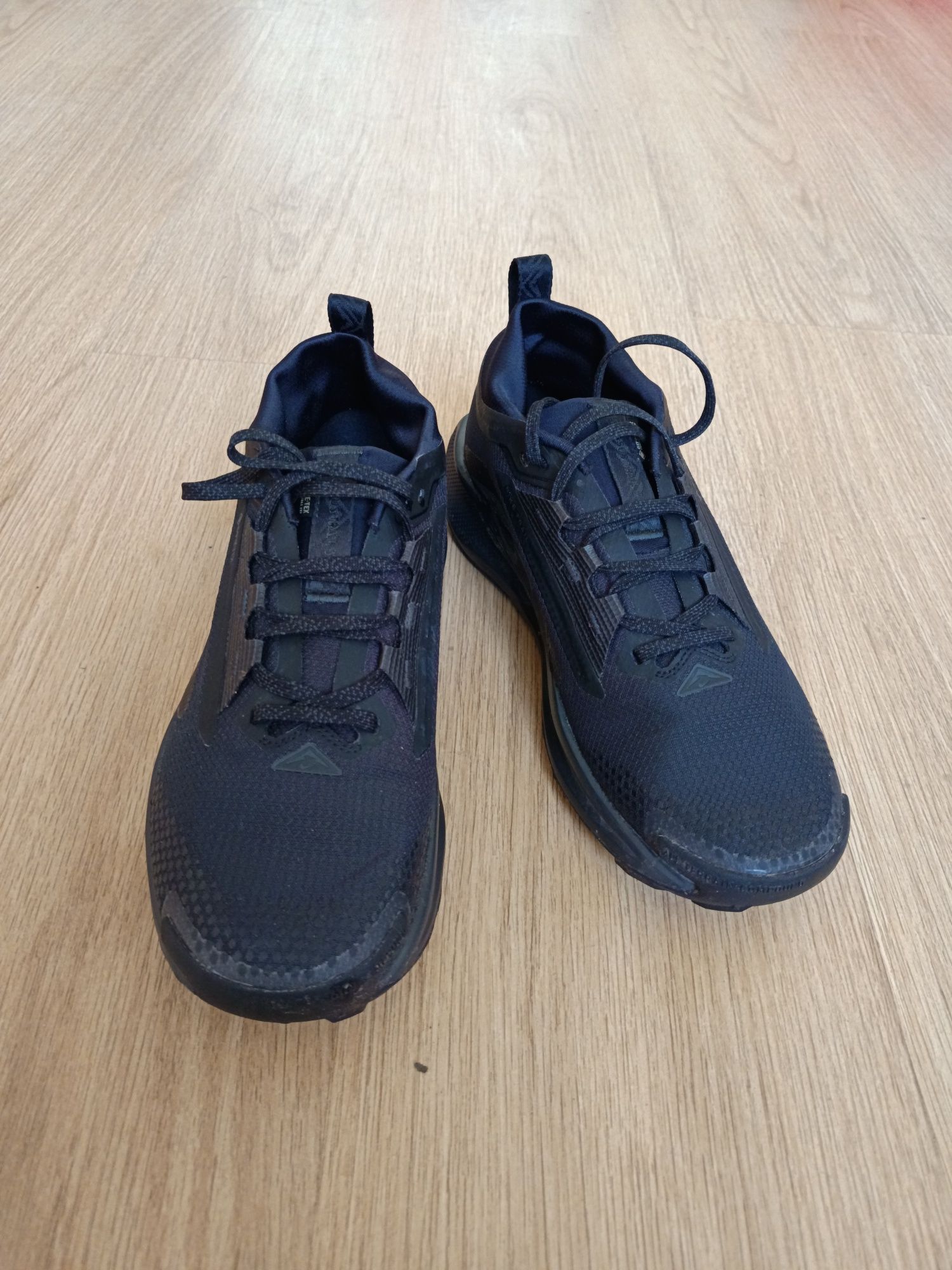 Маратонки Nike Pegasus Trail 5 Gtx GORE-TEX FQ0908 002 Черен
