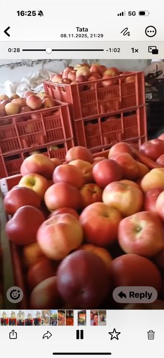 Mere de calitate superioara