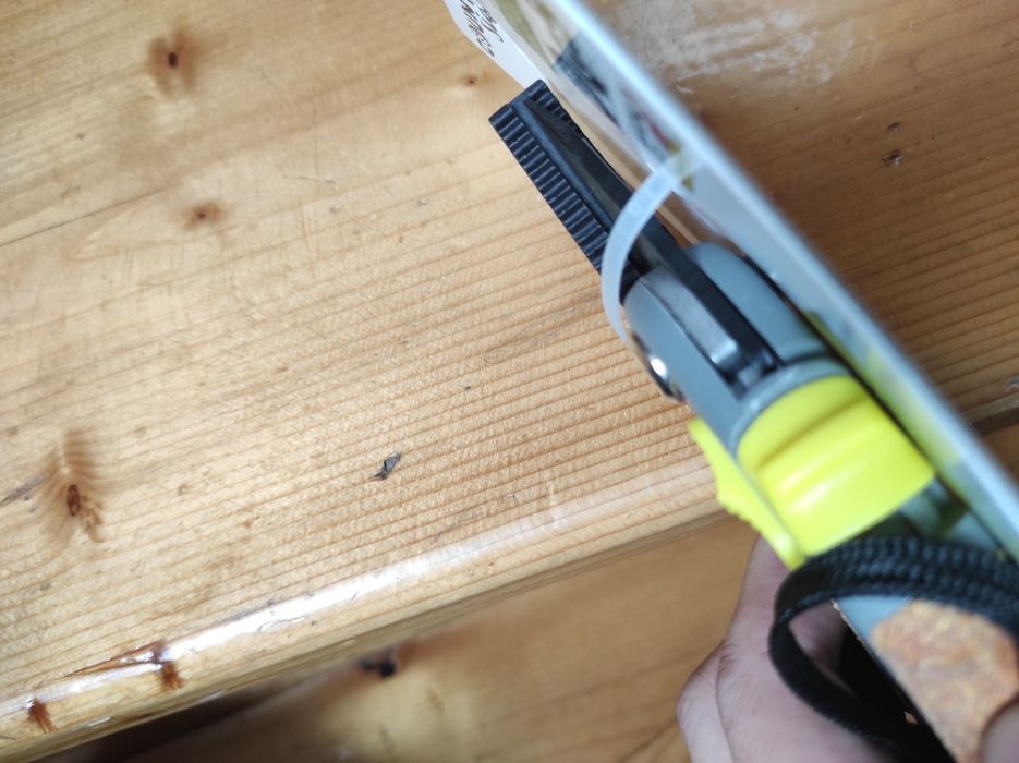 Foarfecă nicovala grădină