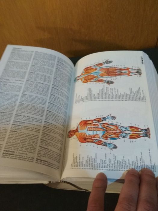 Френски речник Dictionnare de notre temps 1992