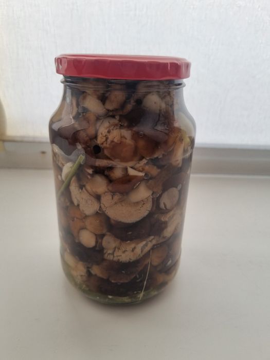 Продам грибы ( валуи). осталась одна банка. 3000тг. .