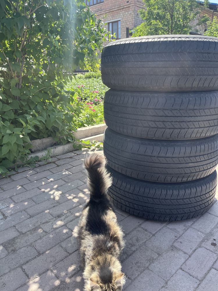 Резина Bridgestone
