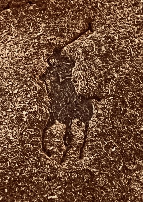 Мега удобни луксозни боти Polo Ralph Lauren Chett Suede Chukka Boots