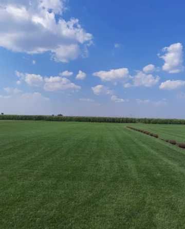 Gazon Rulou Si Sisteme de irigatii + Insamantare