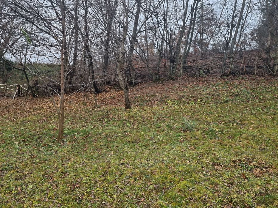 Vand teren pretabil A Frame / panoramic view