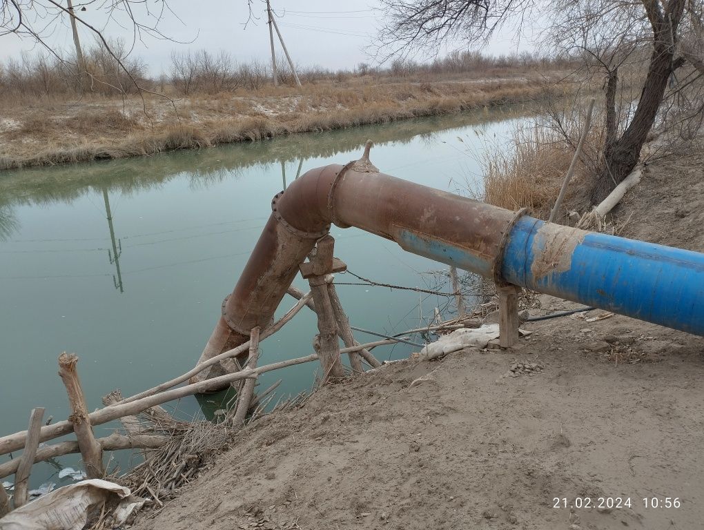 Altay naso'z faqat dinam yo'q! Narxi kelishiladi