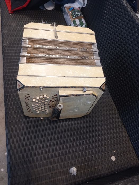 Bandoneon vechi adus din Germania