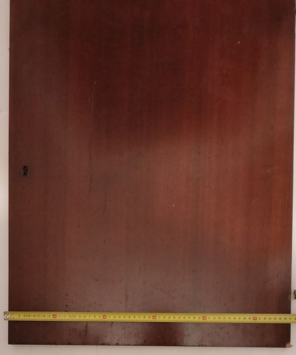 Ușa pentru șifonier 75/58/2 cm