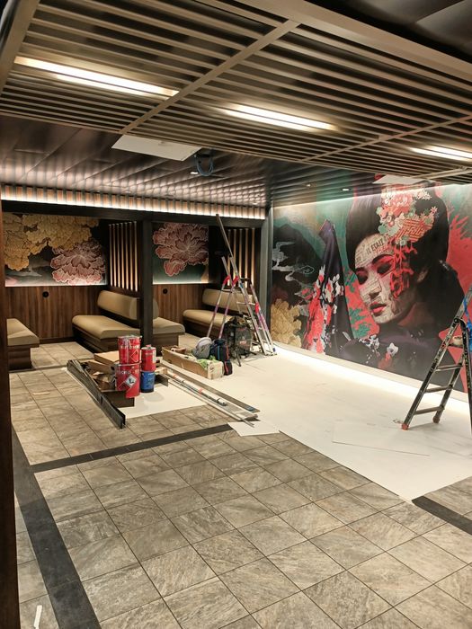 Montaj tapet si fototapet