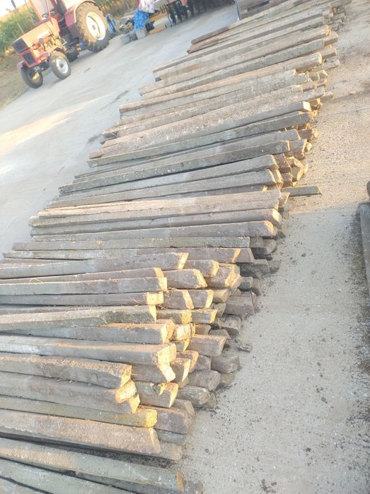 17 lei spalieri de vie