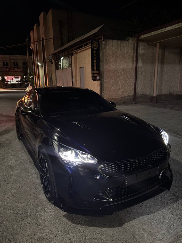 Kia Stinger gt full stage 2