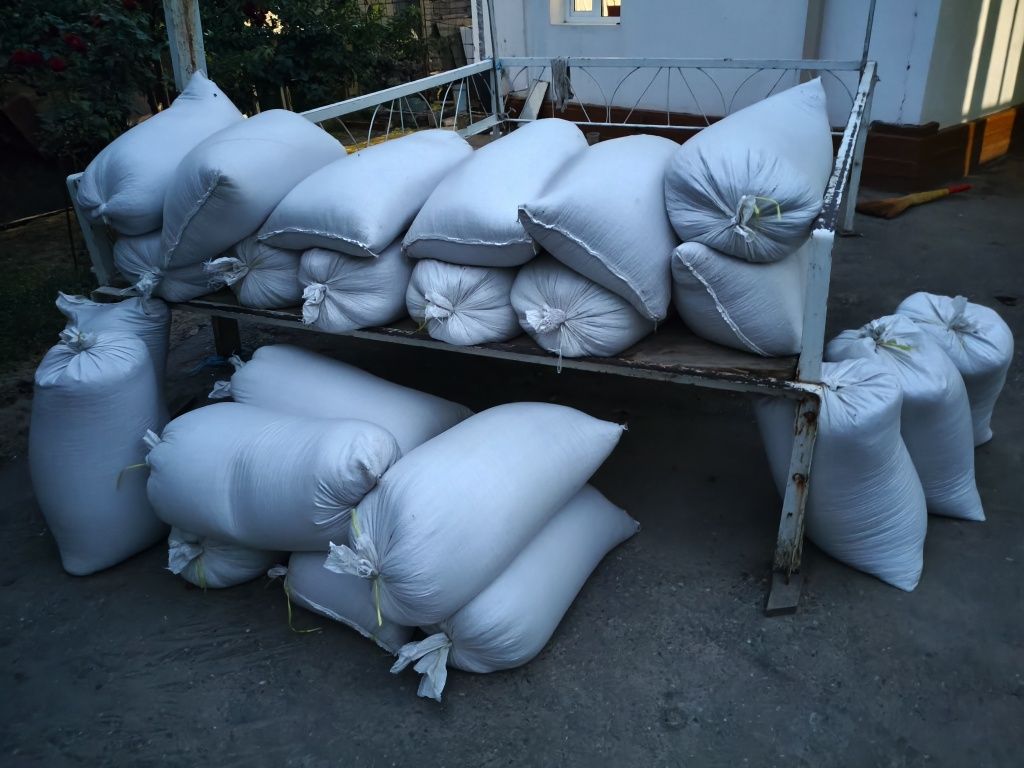 Arpa 3500 soʻmdan kilosi