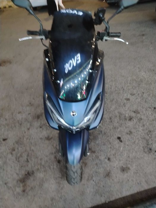 Gst mator Tiger skuter
