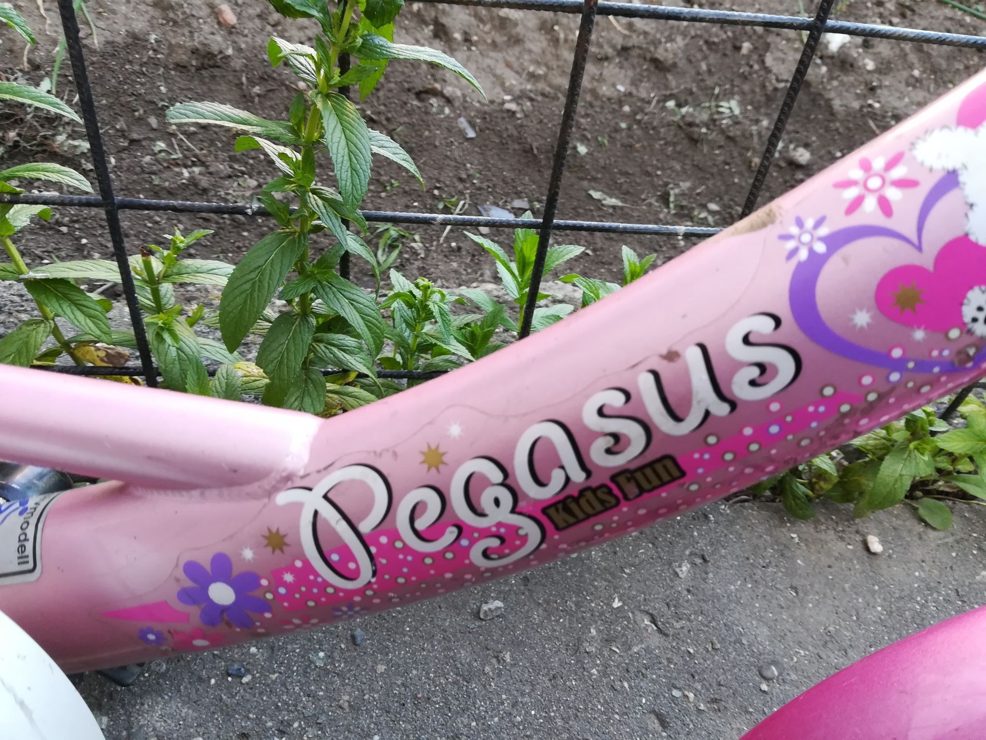 Bicicleta copii/fete Pegasus