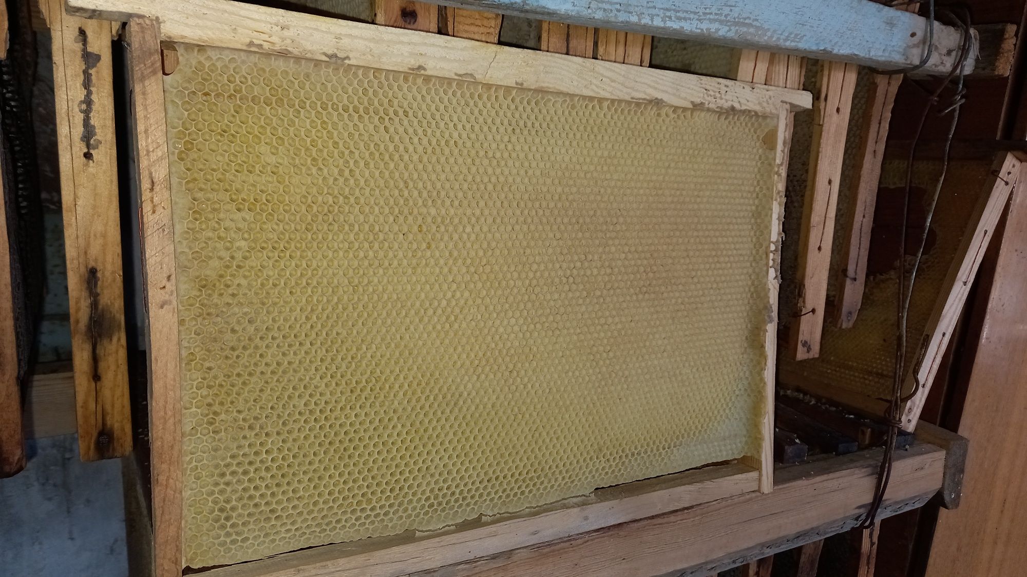 Рамки медовые, суш для пчёл