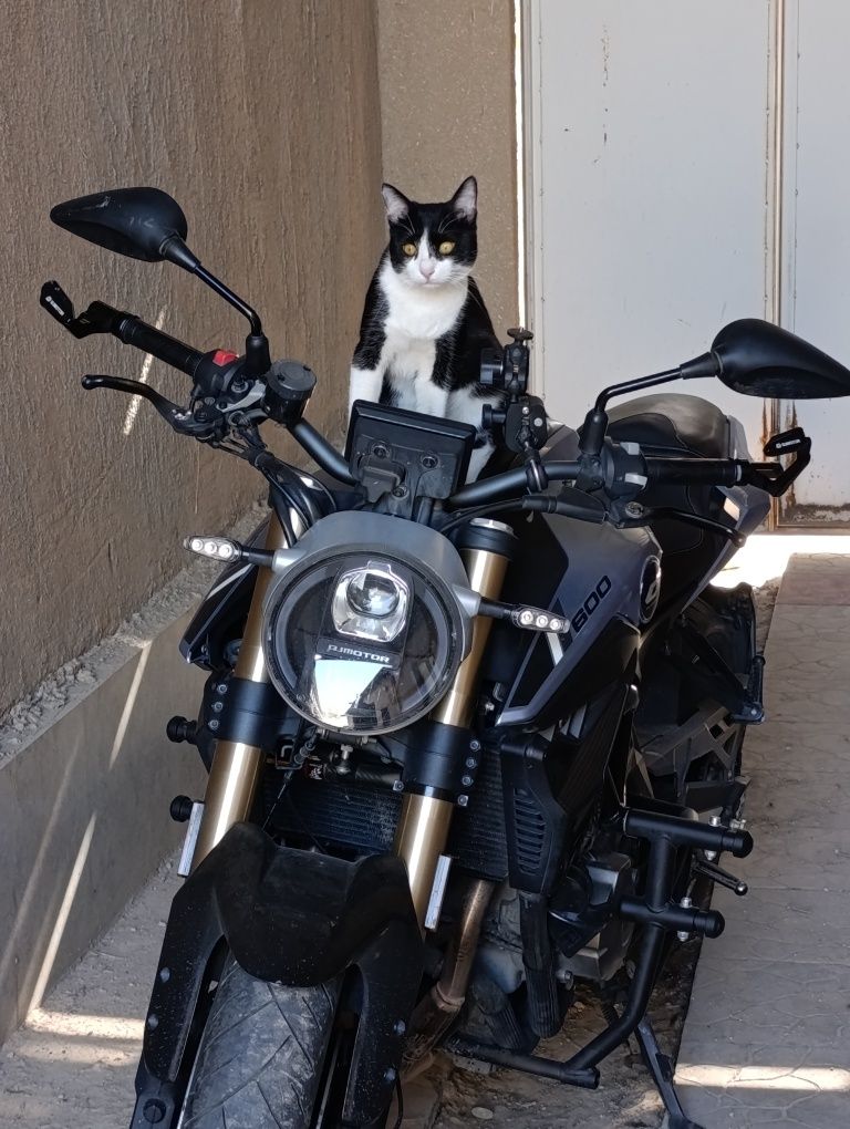 Мотоцикл Qjmotor srk 600 street