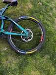 Trek session 8 custom