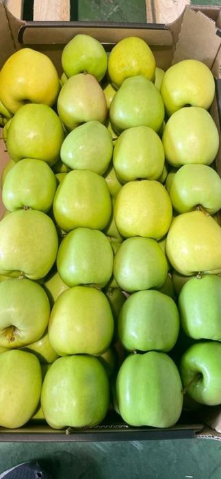 Oferim spre vânzare cartofi albi Cartof roșu, Mere ,pere ,varza Țelină