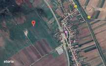 Teren extravilan Cotofanii din Fata 2390 mp, + 4810 mp Dolj- 3001405