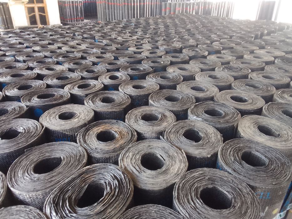 Berk memrana turman palizol