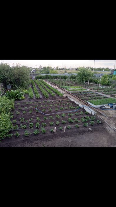 Продам дачу в ПКСТ “Колос”, Красный Партизан — с урожаем