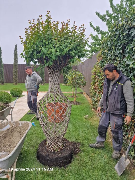 Amenajari gradini Irigatii Gazon