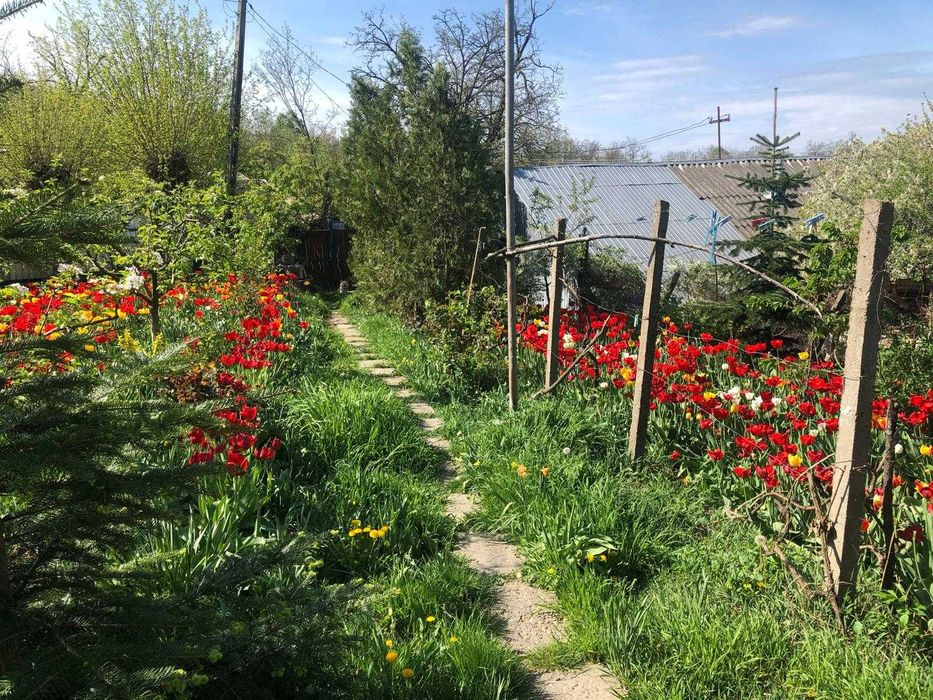 Vânzare casă la țară în Costișa de Sus, comuna Tănăsoaia, jud. Vrancea