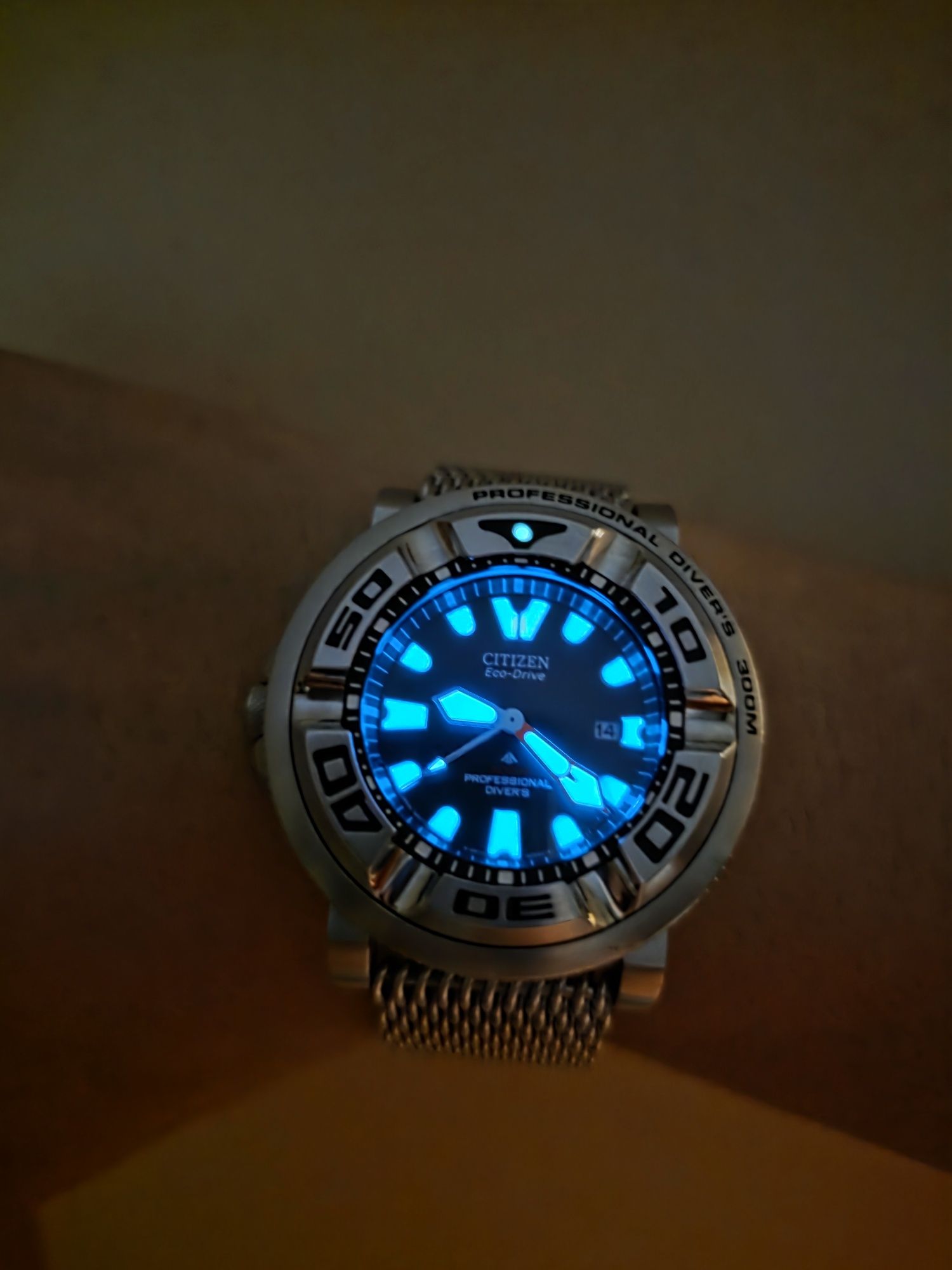 Citizen Ecozilla b873-s026547