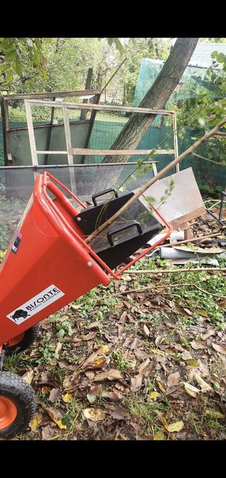 Tocare, tocat crengi, tăieri, toaletare pomi, copaci, defrişare teren